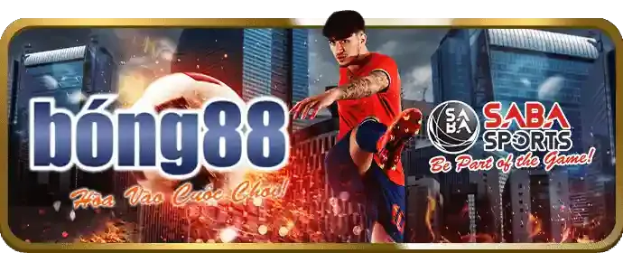 Cập nhật nhanh chóng