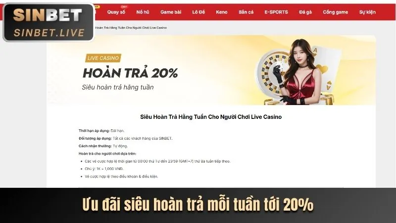 Ưu đãi định kỳ sbobet